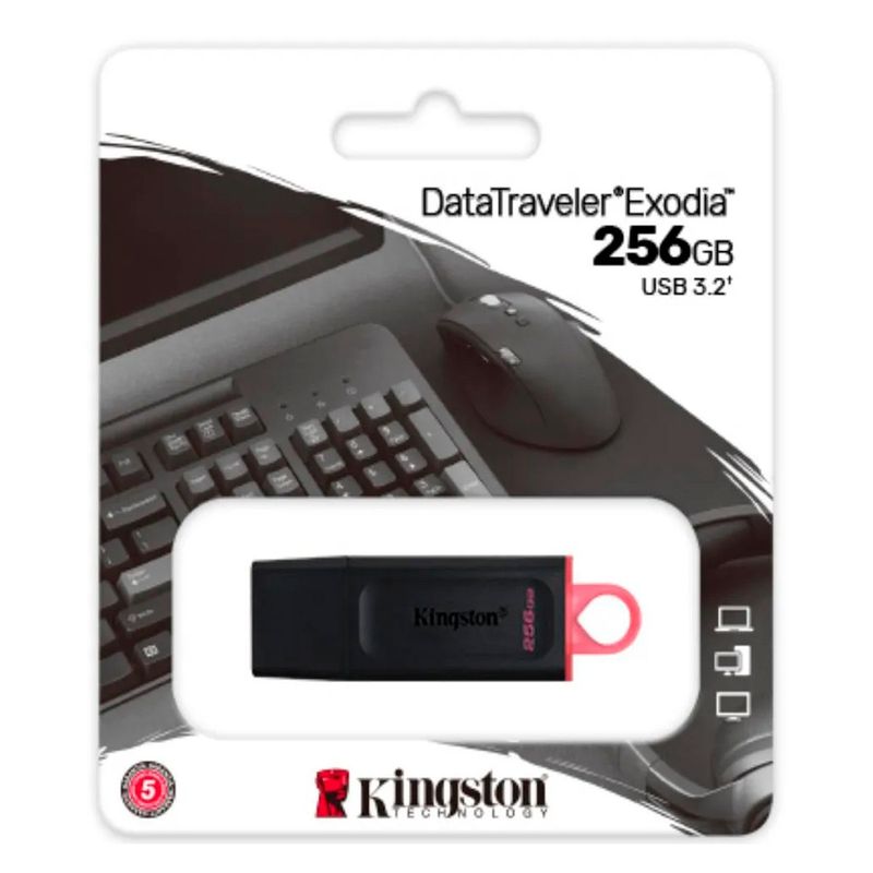 KINGSTON - USB 256 GB Kingston Data Traveler Exodia