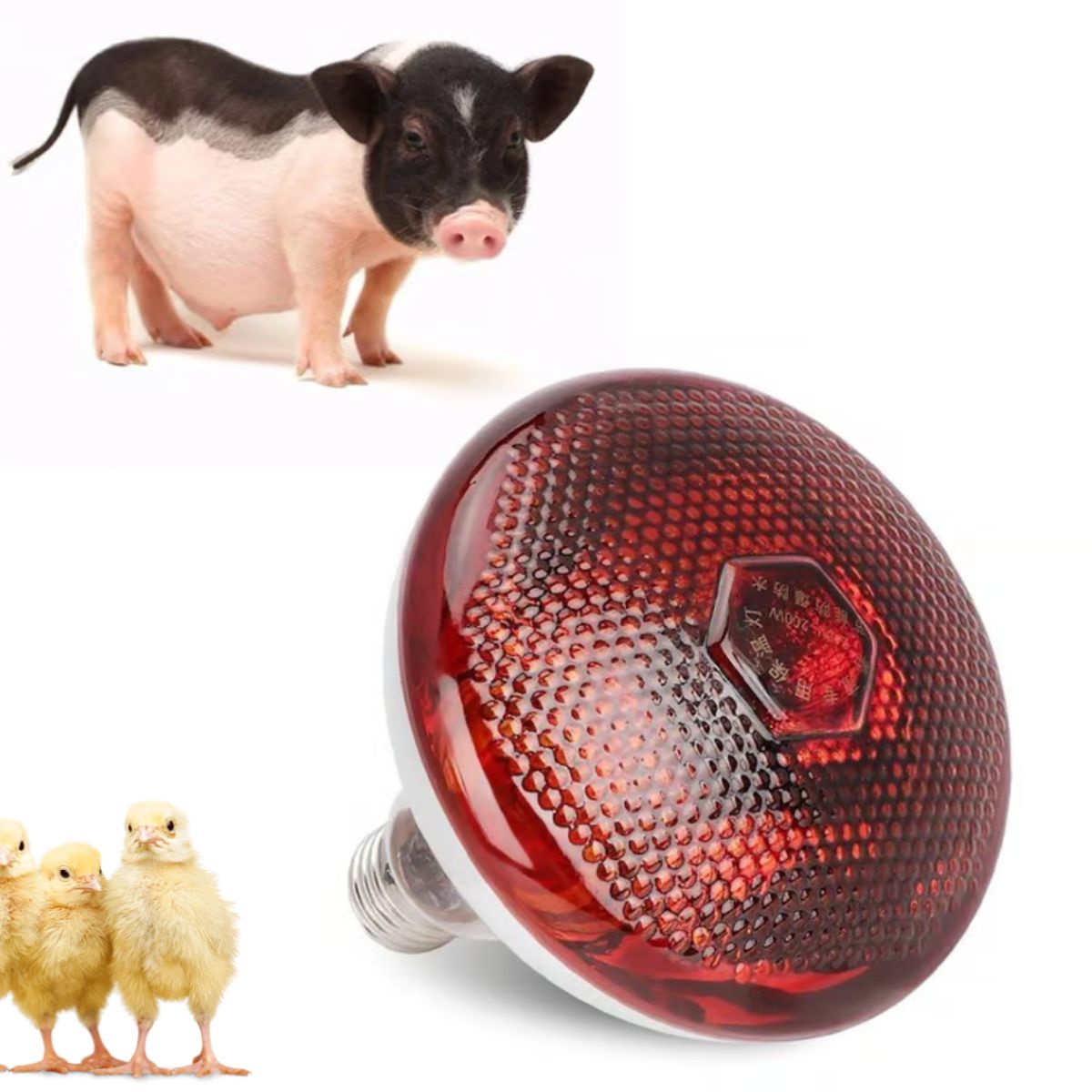 GENERICO - Pack 3 Foco Infrarrojo 250w y 3 Socket Colgantes Cerámico Modelo E27