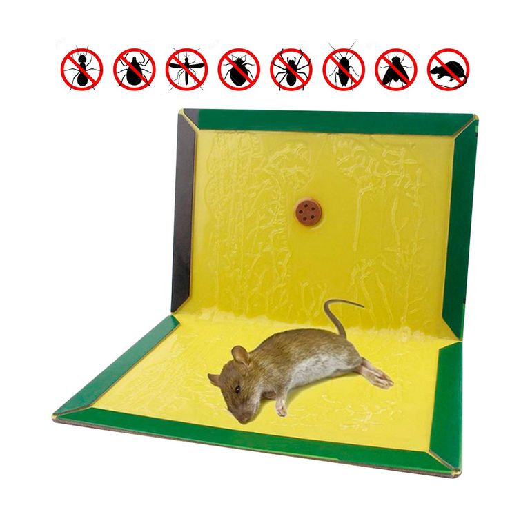 Trampa Pega Rata 16x22cm GENERICO | falabella.com