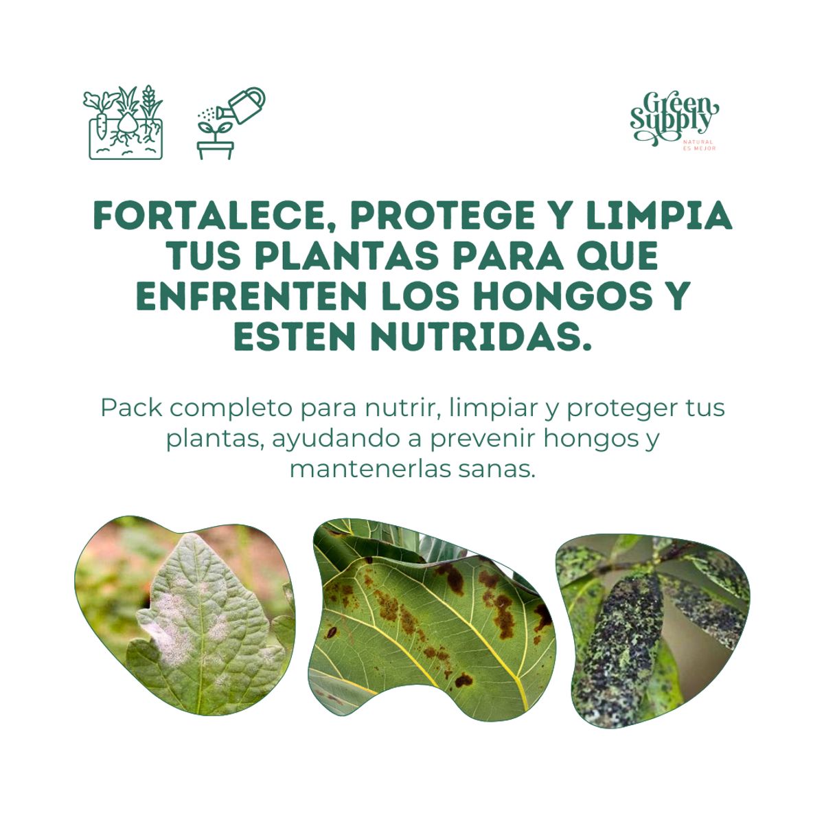 GREEN SUPPLY - Pack Anti-Hongos & Nutrición