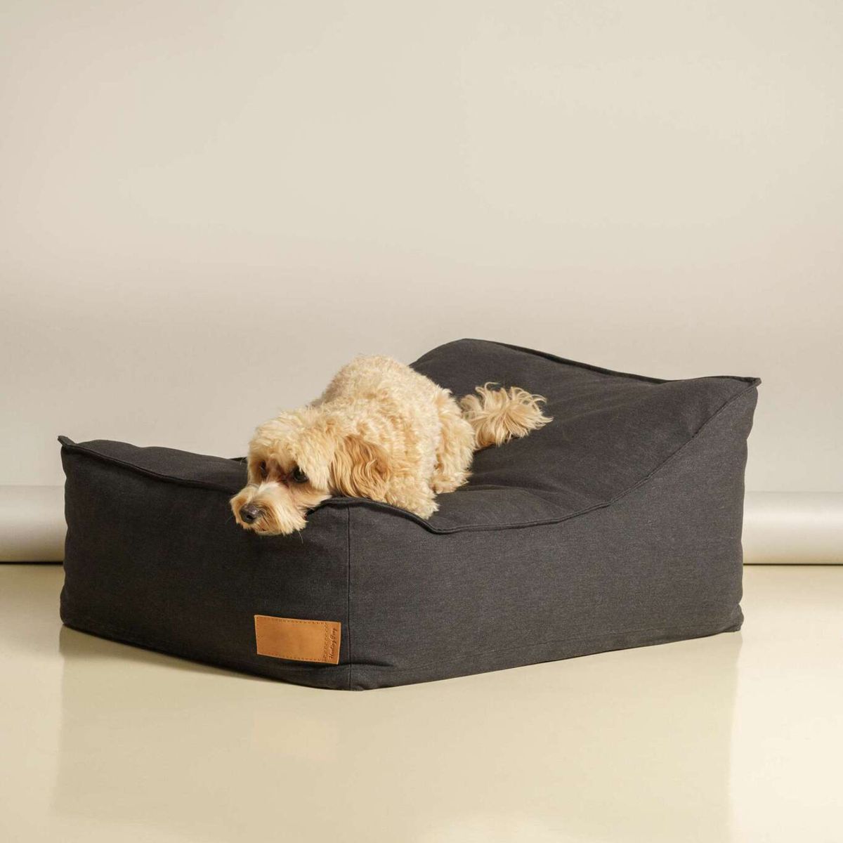 GENERICO - CAMA PARA MASCOTA VOLANTIS