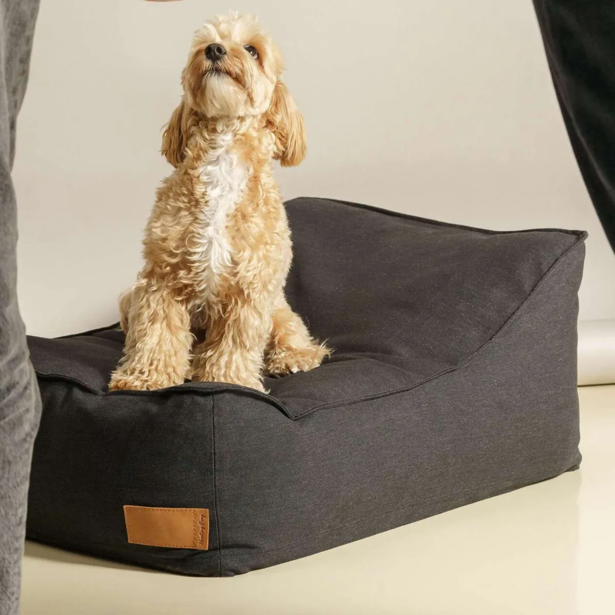 GENERICO - CAMA PARA MASCOTA VOLANTIS