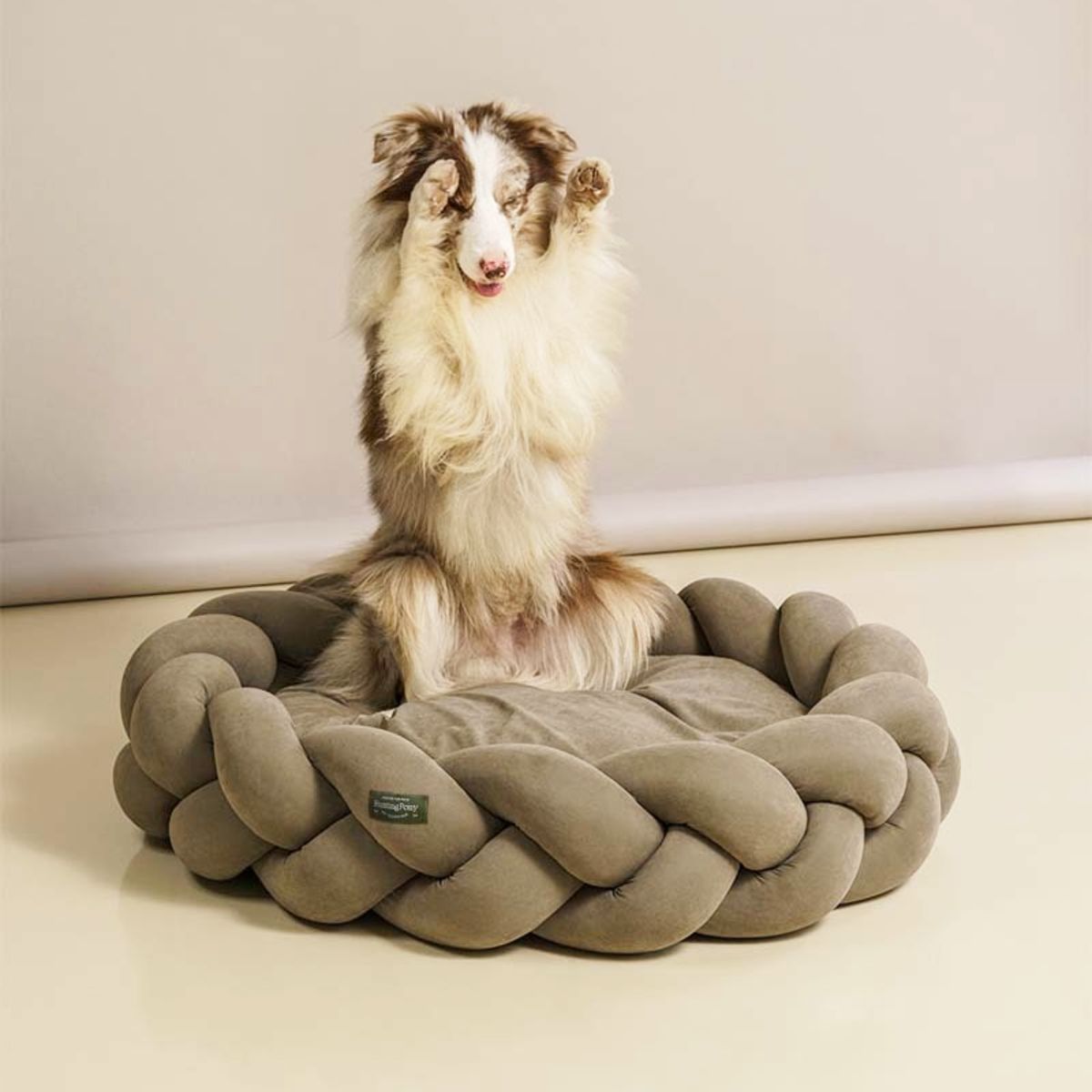 GENERICO - CAMA TRENZADA VELVET TAUPE