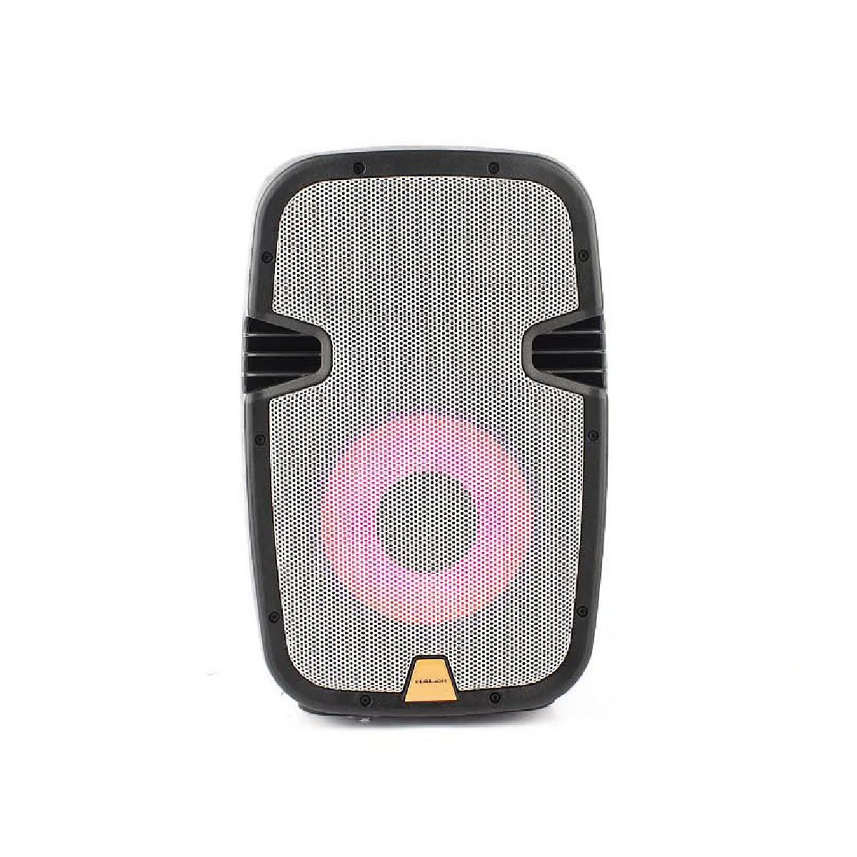 HALION - Parlante Halion PHA 10MB 1000W PMPO Portátil USB BT