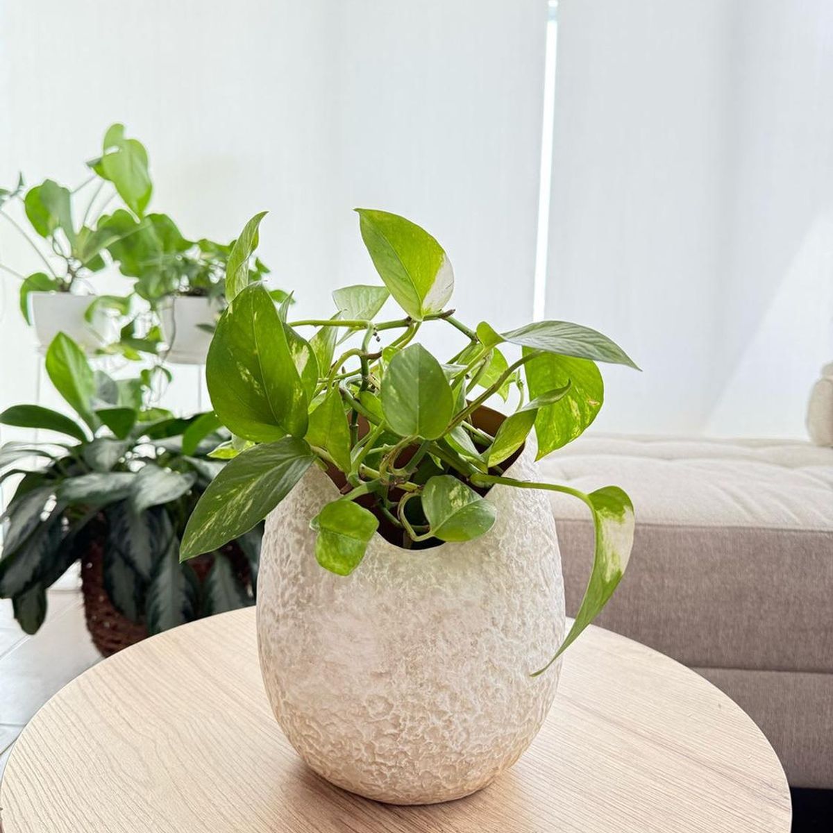 MAP DESIGN HOME - Jarron Decorativo Curved Organic 19x24 cm