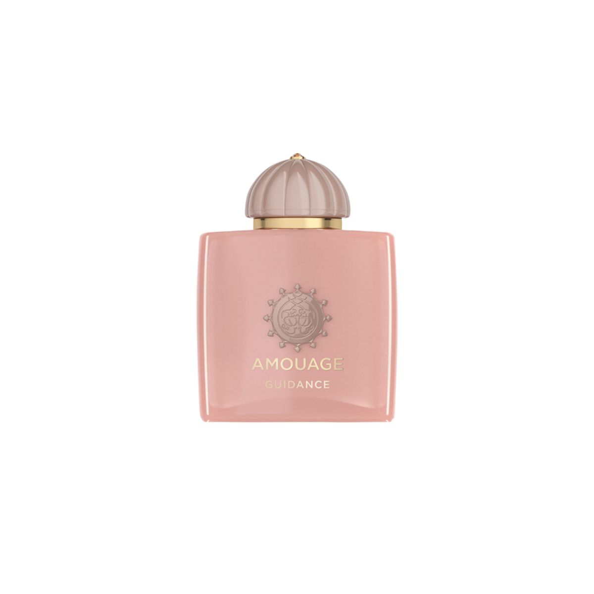 AMOUAGE - GUIDANCE EAU DE PARFUM 100ML