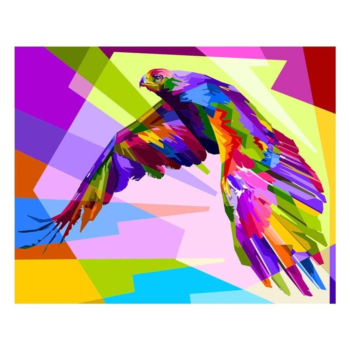 MAKA - DIAMOND PAINTING COLORFULL HAWK 40X50 CM  MAKA