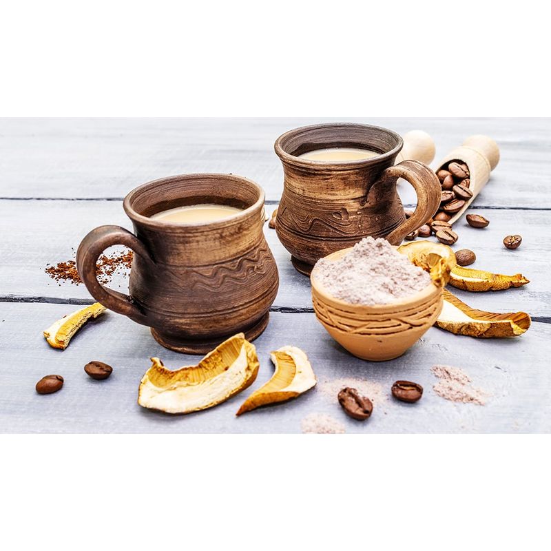GENERICO - VITA CAFE Ganoderma Reishi x 20 sobres