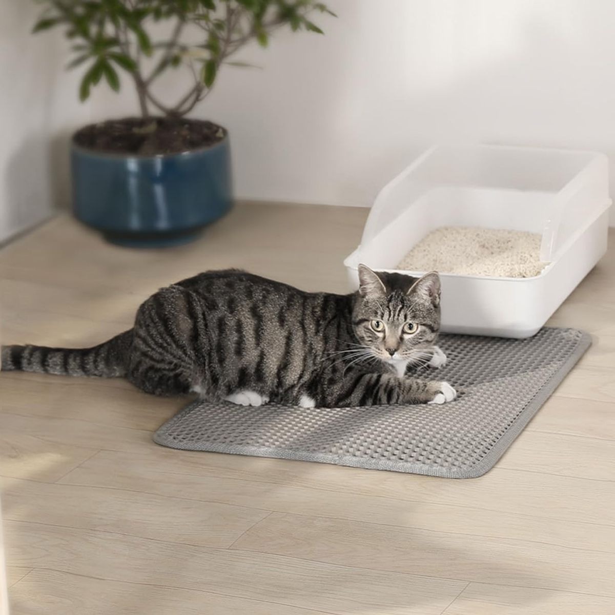 AMICATS - Alfombra Salida de Arenero de Gato - Gris 40x50