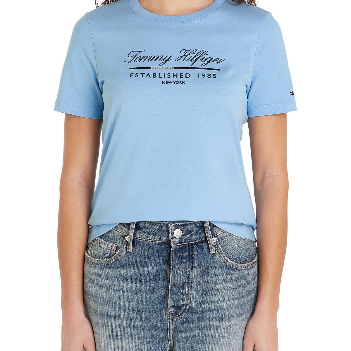 TOMMY HILFIGER - CAMISETA M/C REG SCRIPT GRAPHIC C-NK SS