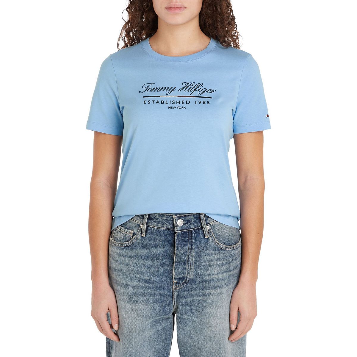 TOMMY HILFIGER - CAMISETA M/C REG SCRIPT GRAPHIC C-NK SS