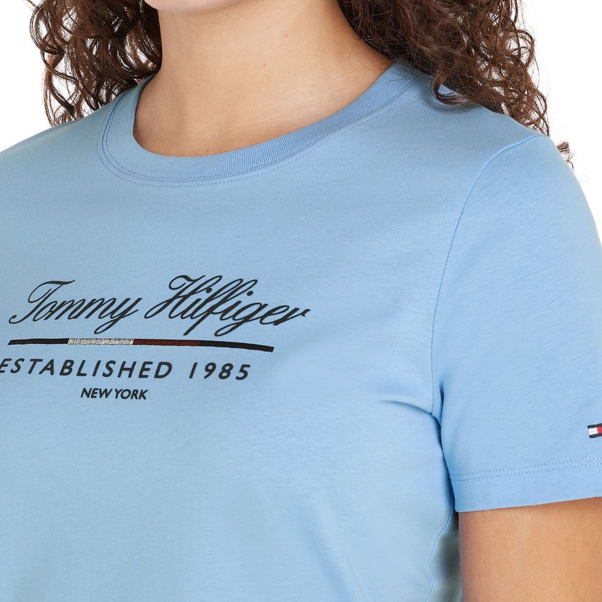 TOMMY HILFIGER - CAMISETA M/C REG SCRIPT GRAPHIC C-NK SS