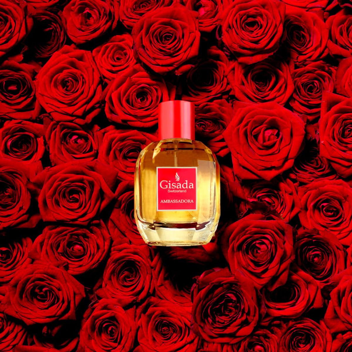 GISADA - AMBASSADORA EAU DE PARFUM 100ML