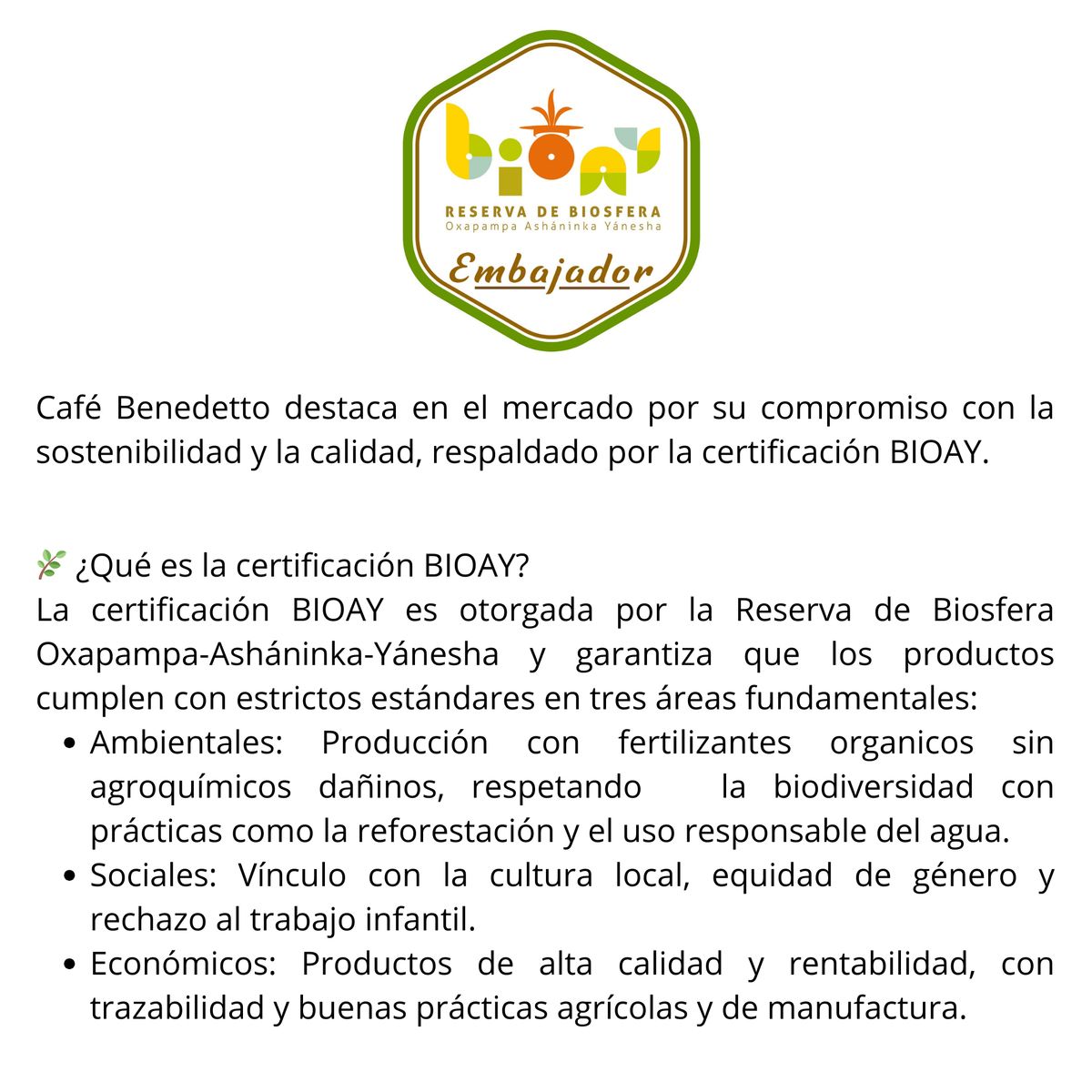 GENERICO - Café Benedetto PREMIUM de especialidad en grano 500 gr