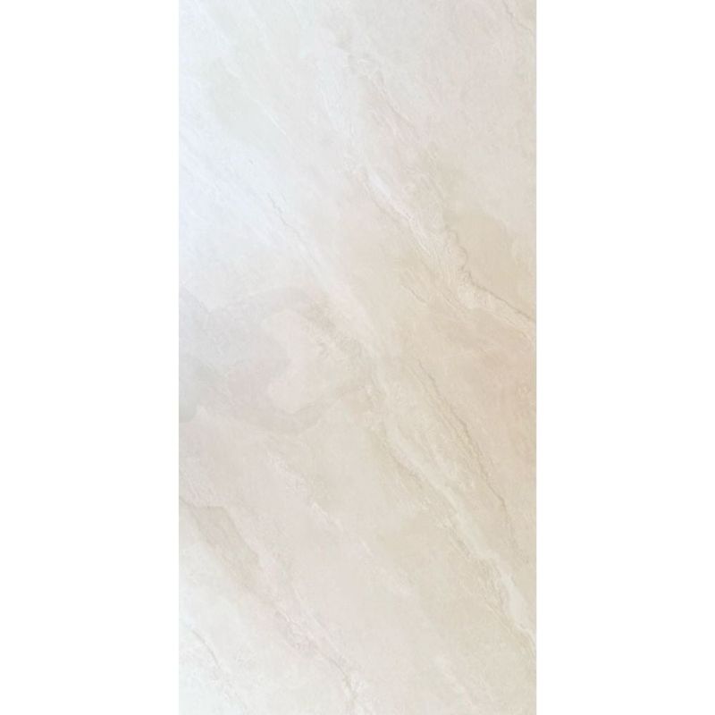 EJESA CREA TU ESPACIO IDEAL - PORCELANATO LPY12011 60X120cm 216m2 XL VITRIFICADO