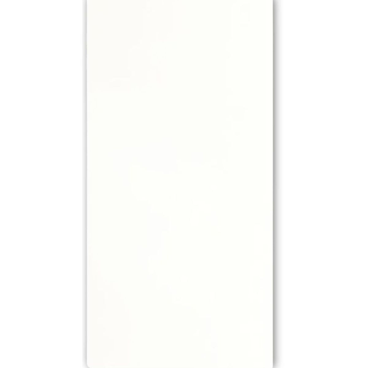 EJESA CREA TU ESPACIO IDEAL - PORCELANATO BLANCO 60X120cm 216m2 XL VITRIFICADO