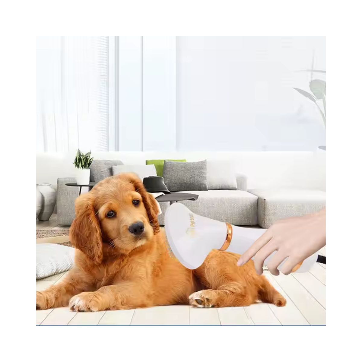 GENERICO - SECADOR Y PEINE PARA MASCOTAS 2 EN 1