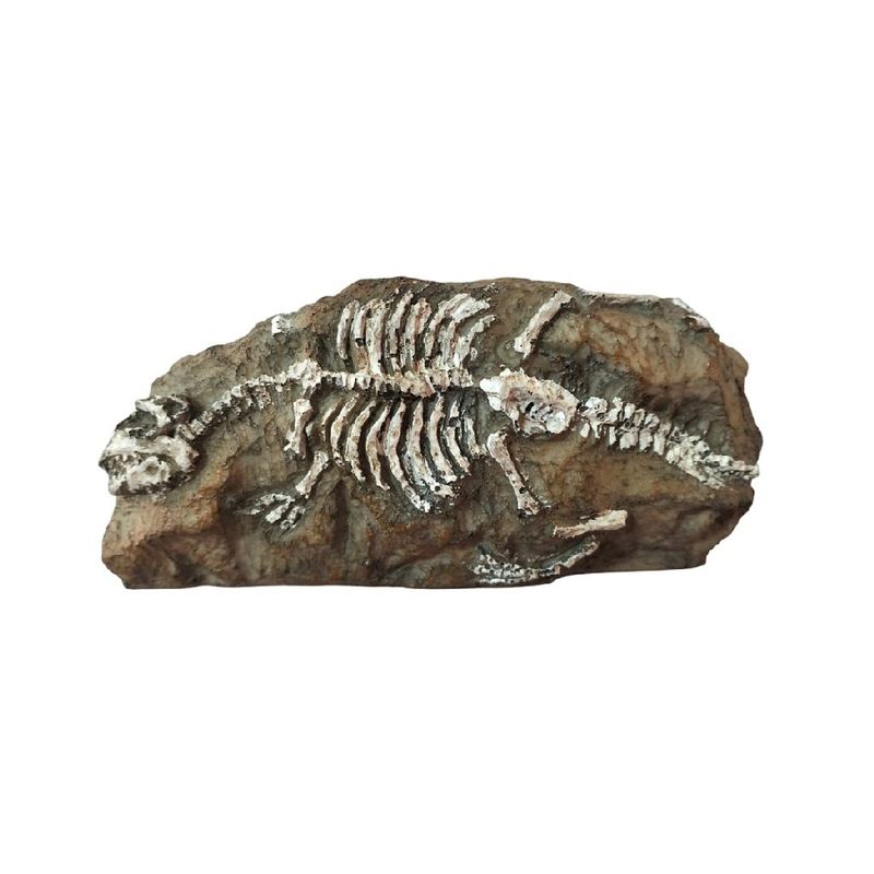 GENERICO - Adorno decorativo piedra fósil resina para peceras