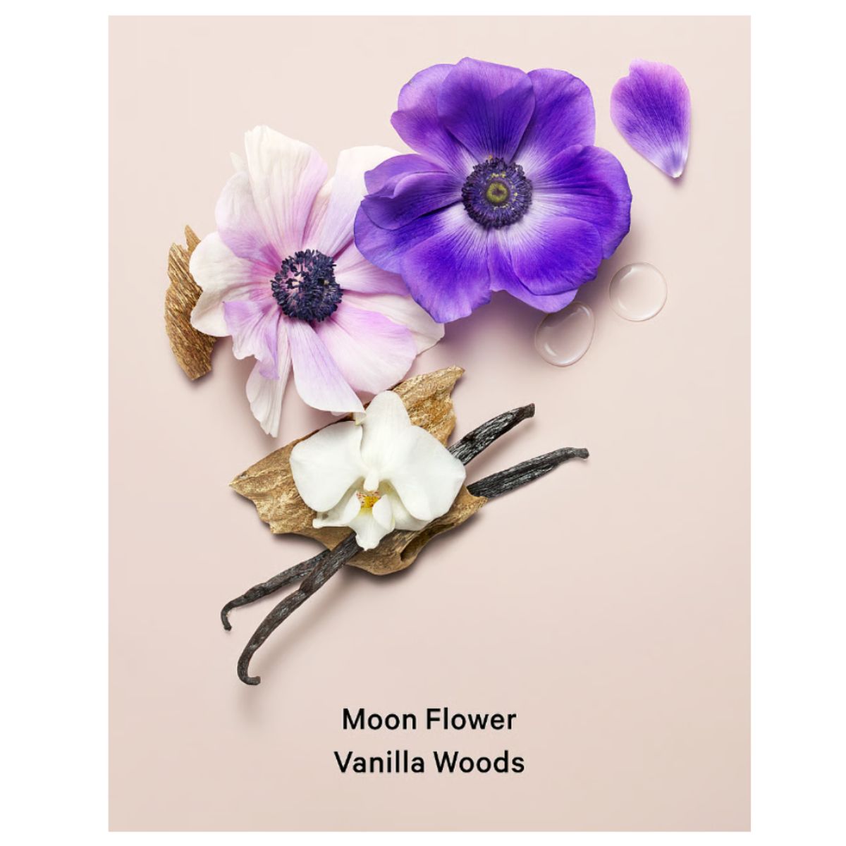 VICTORIA'S SECRET - MIST CORPORAL VICTORIA SECRET MIDNIGHT BLOOM 250 ML