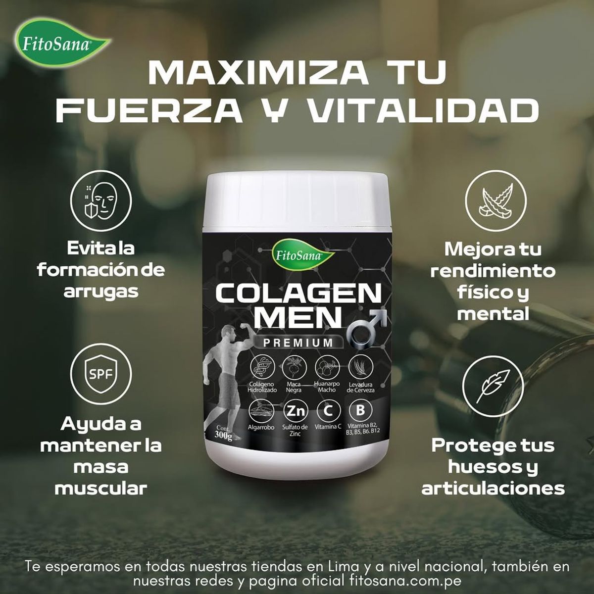 FITOSANA - COLAGEN MEN PREMIUM FITOSANA - COLAGENO HIDROLIZADO FRASCO 100U