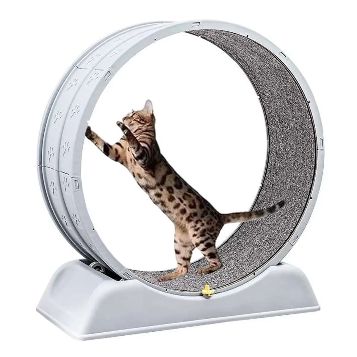 AMICATS - Rueda Giratoria de Ejercicio Para Gatos