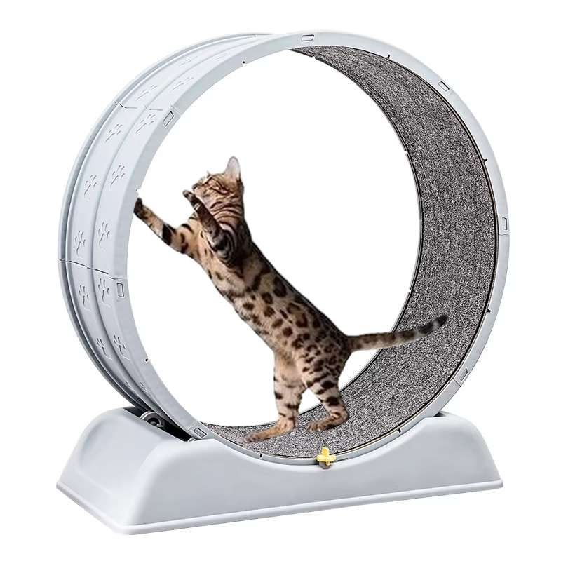 4PETS - Rueda Giratoria de Ejercicio Para Gatos
