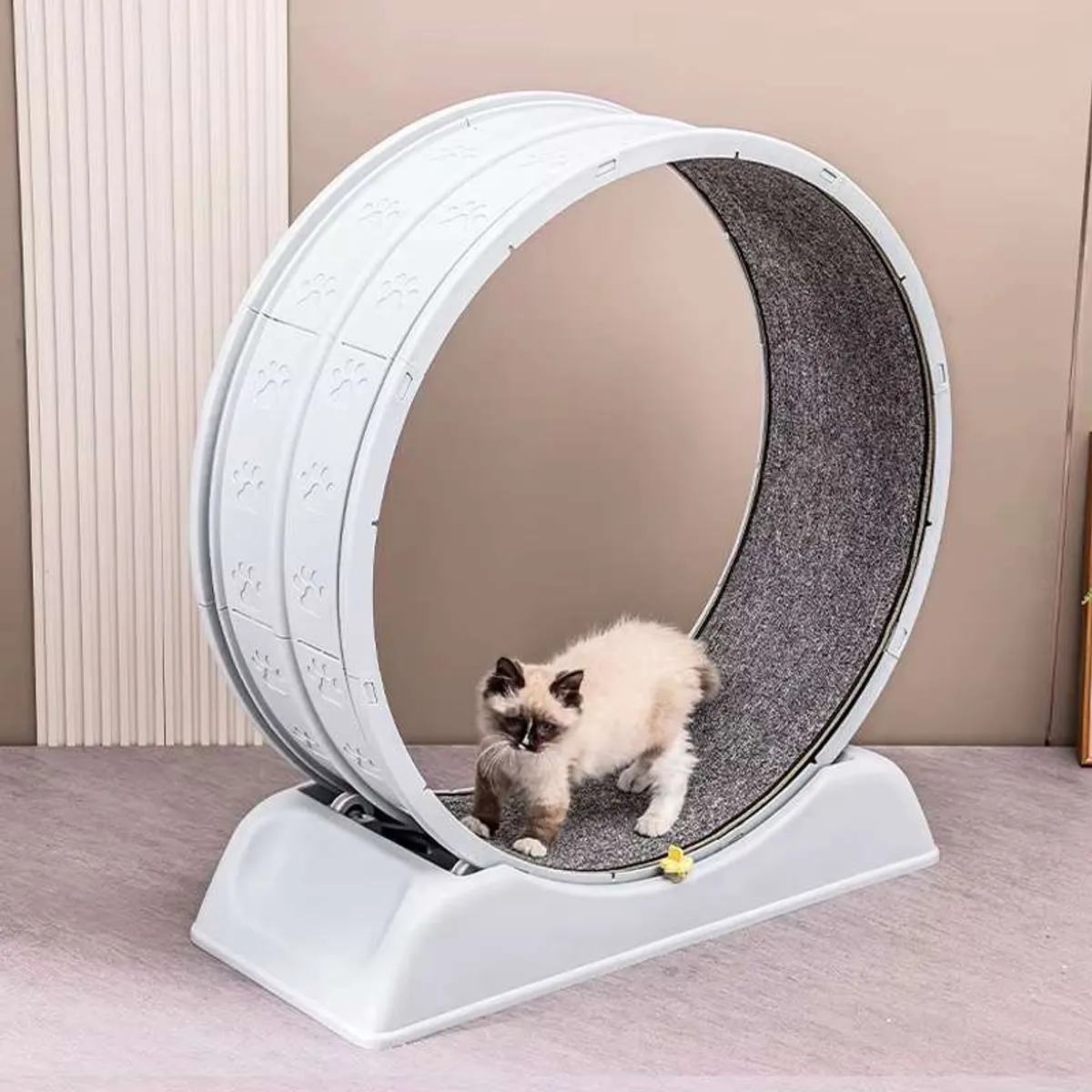 AMICATS - Rueda Giratoria de Ejercicio Para Gatos