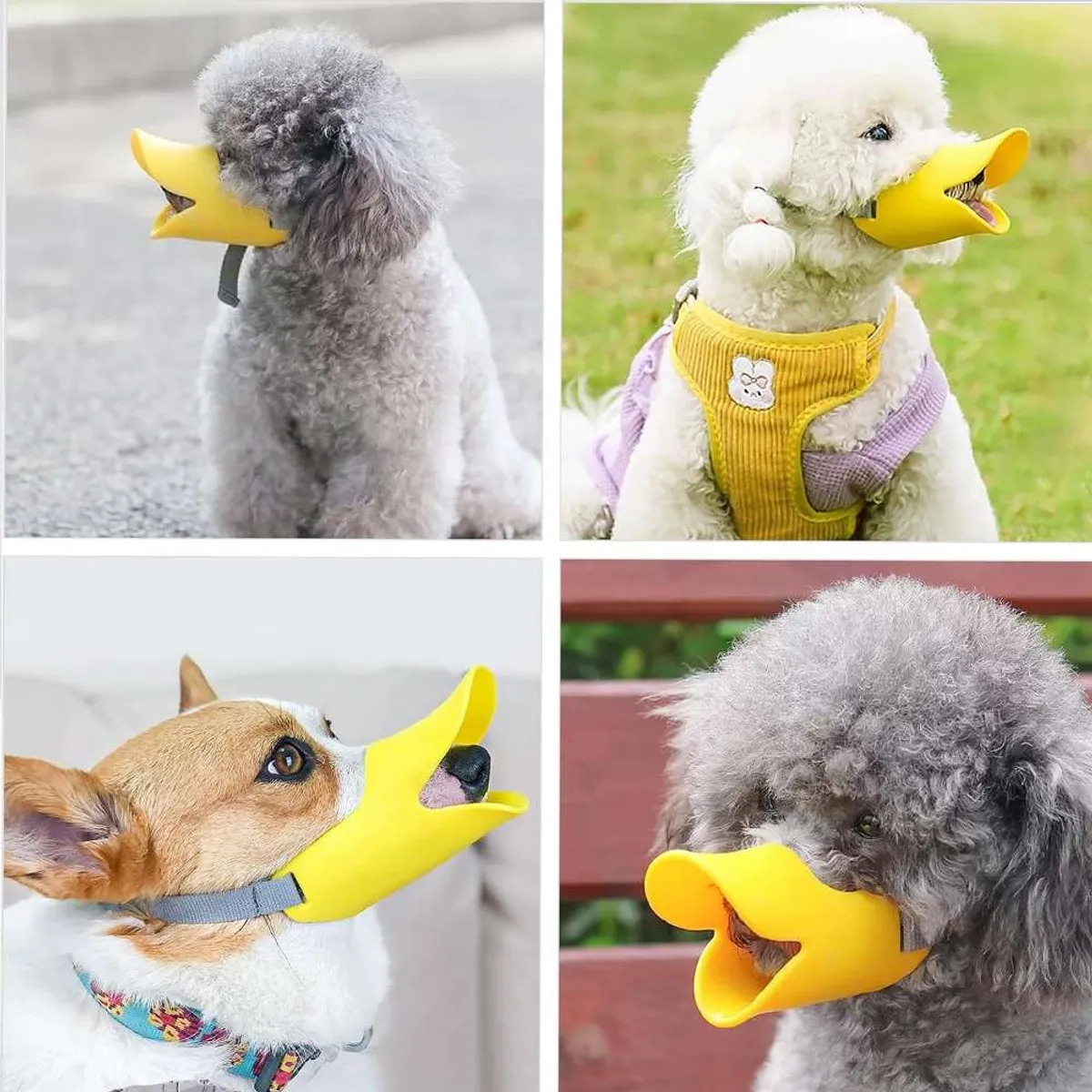 AMICATS - Bozal Pico de Pato para Mascotas - Talla S