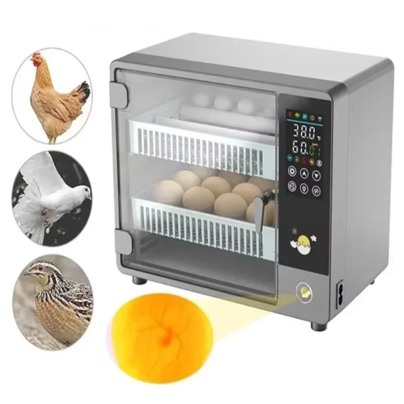 GENERICO - INCUBADORA AUTOMATICA 24 HUEVOS CON HUMIDIFICADOR 12V/220V