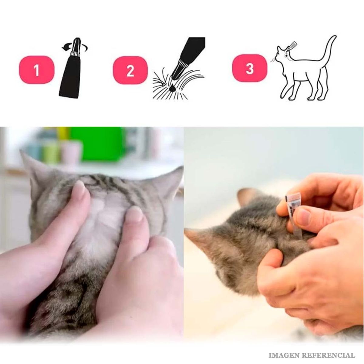 ADVANTAGE - Pipeta Antipulgas Advantage Gatos de 4 a 8 kg 0.8ml