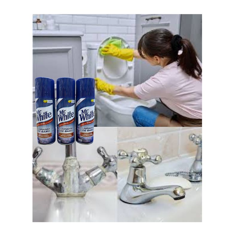 GENERICO - LIMPIADOR DE BAÑO - PACK 2 UNIDADES