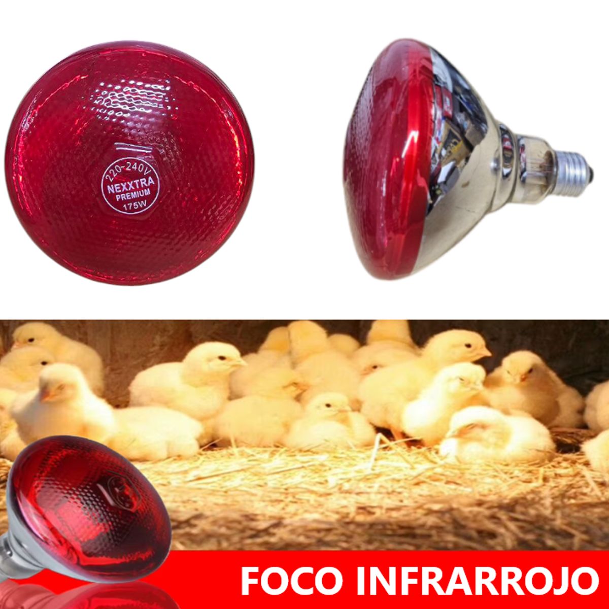 GENERICO - FOCO INFRARROJO NEXXTRA MULTIPLES USOS 175W 220v