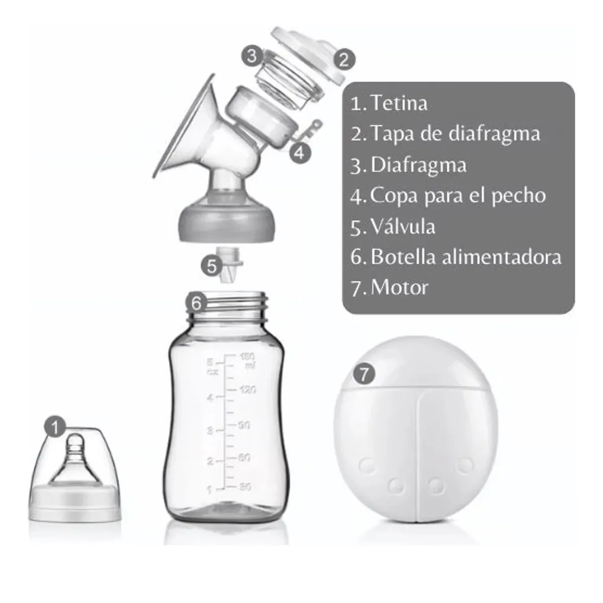 GENERICO - Extractor De Leche Doble + 1 Biberon Avent + 25 Bolsas Avent
