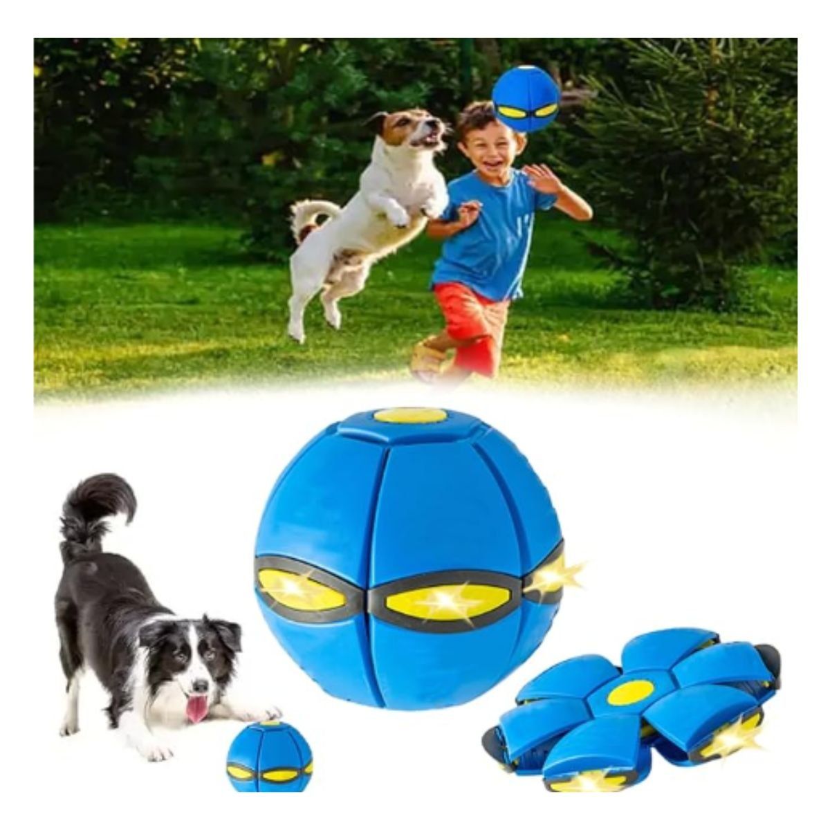 GENERICO - Pelota de disco para perros interactivo