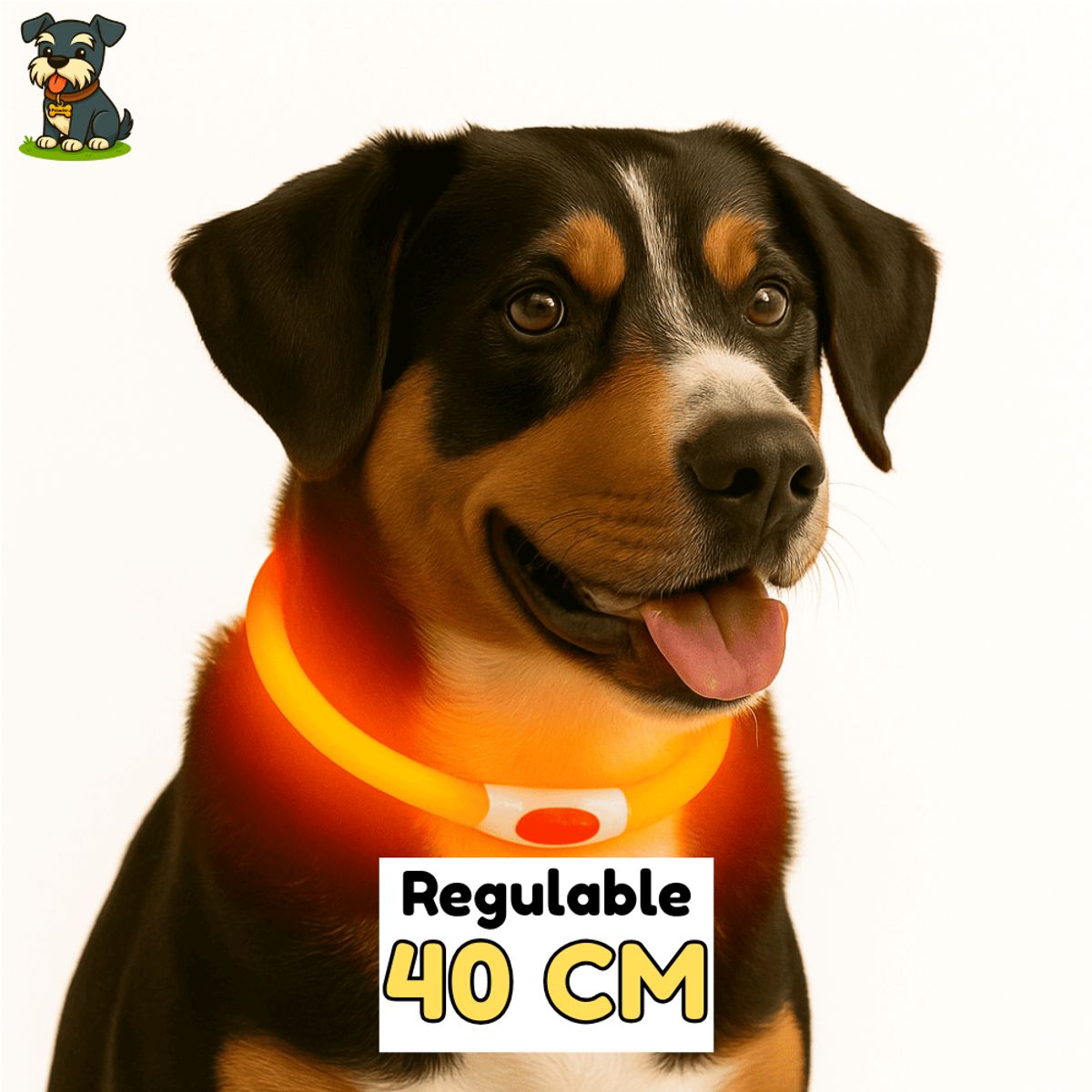 GENERICO - Collar LED de 40 cm de Color Naranja - Peluchin Store