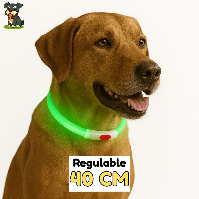 HAMACAS LIZARASO - Collar LED de 40 cm de Color Verde - Peluchin Store