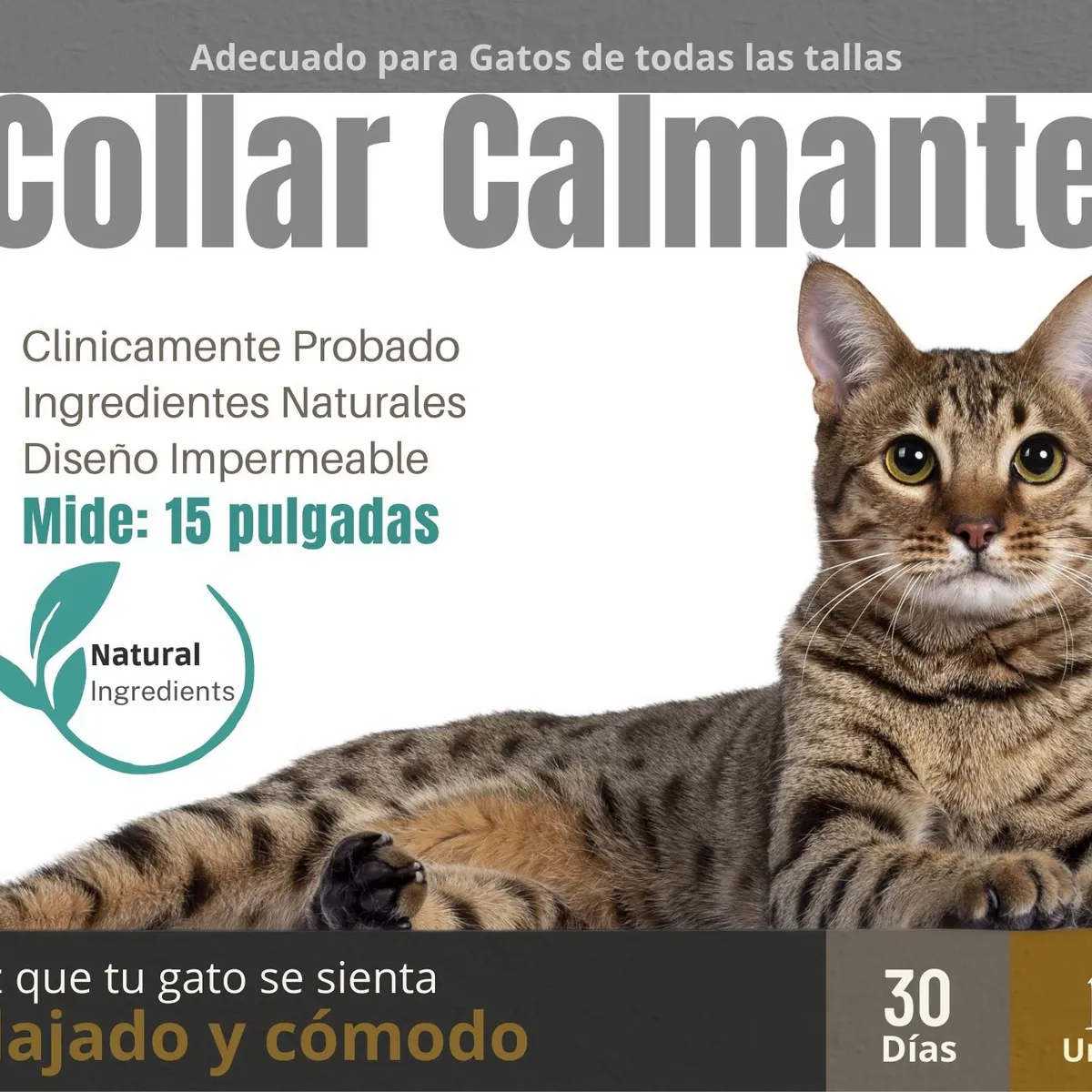 GENERICO - Collar Calmante de Feromonas para Gatos Gris - Reduce Estrés
