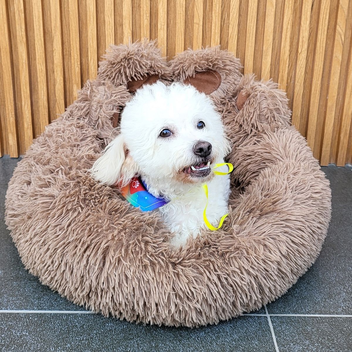 GENERICO - CAMA PATITA OSO TALLA M