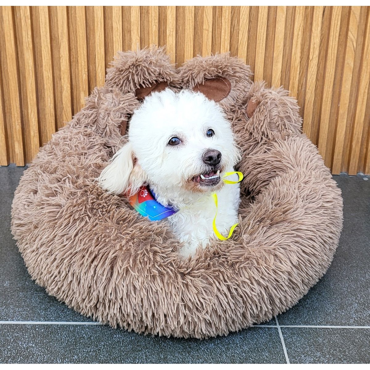 GENERICO - CAMA PATITA OSO TALLA M