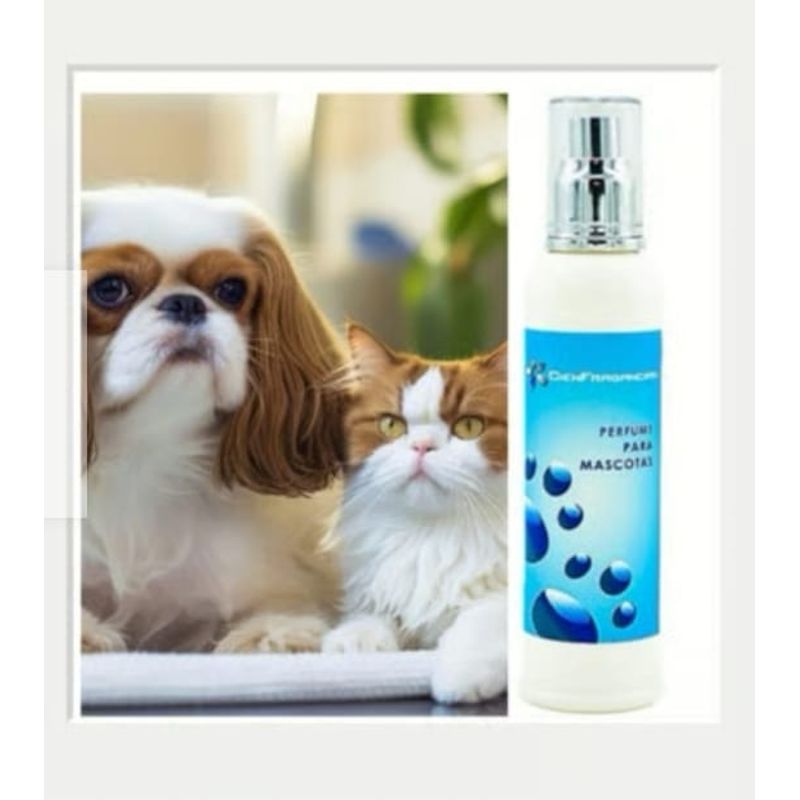 CIEN FRAGANCIAS - PERFUME ALTERNATIVO150ML MASCOTA MACHO VEGANO CIENFRAGANCIAS