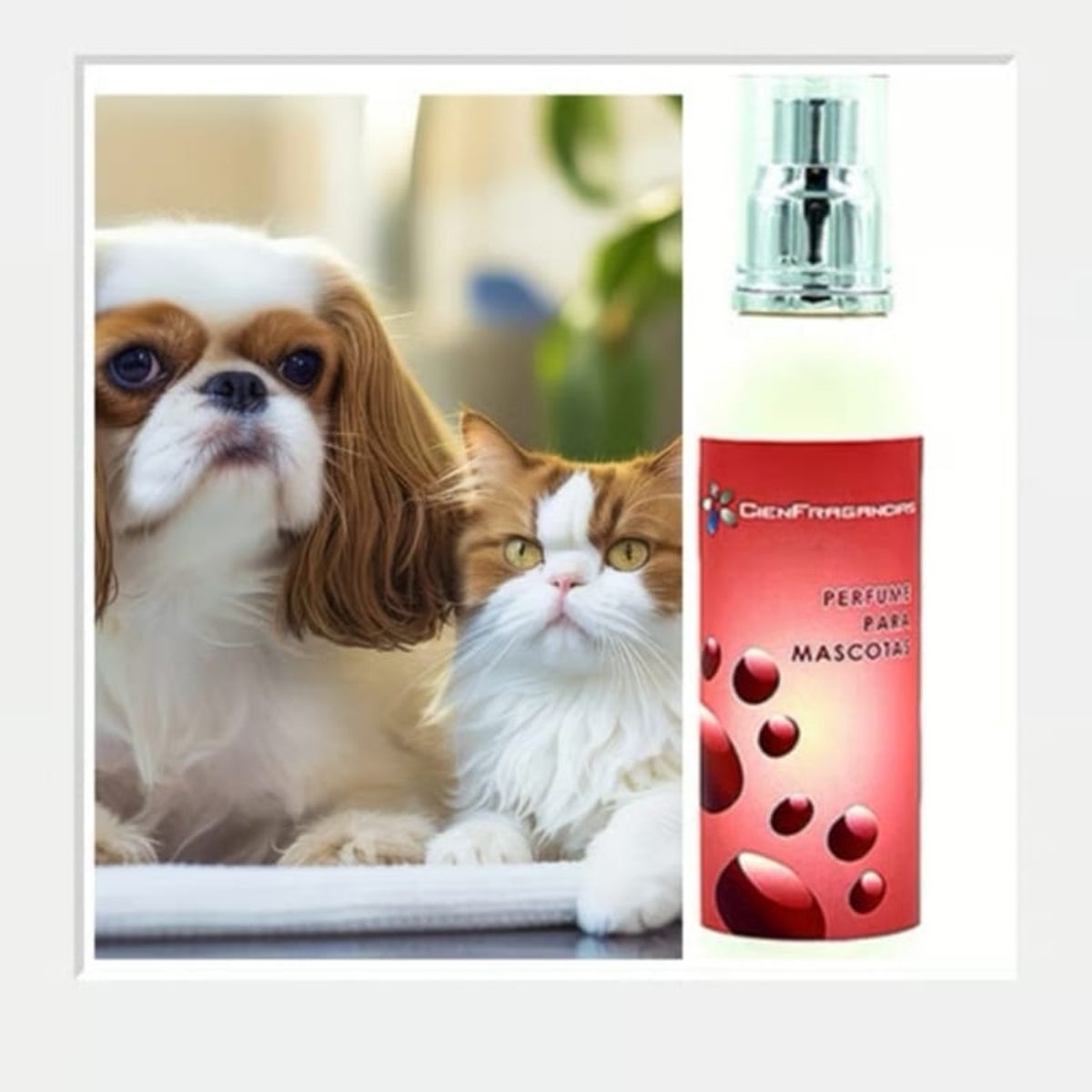 CIEN FRAGANCIAS - PERFUME VEGAN MASCOTA HEMBRA CIENFRAGANCIAS CIEN AROMAS150ML