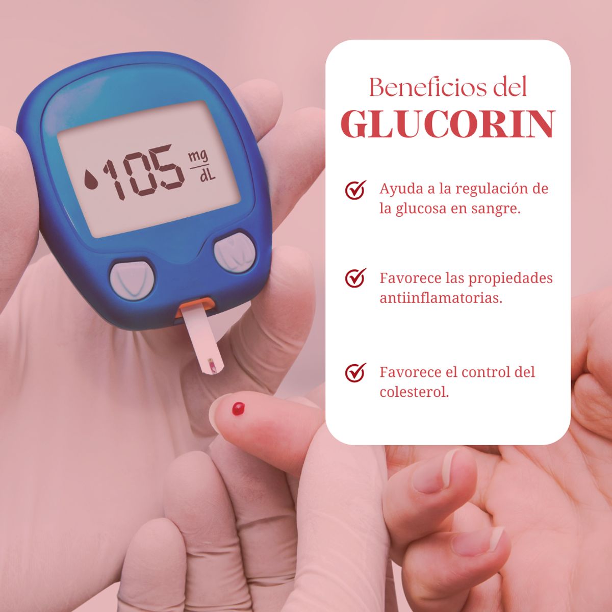 DINOA - Glucorin- Canela kión  Pote de 80g Dinoa-  Control de glucosa