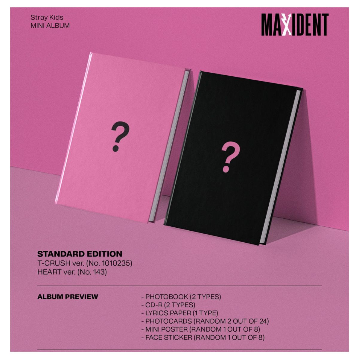 GENERICO - MAXIDENT HEART VER - STRAY KIDS