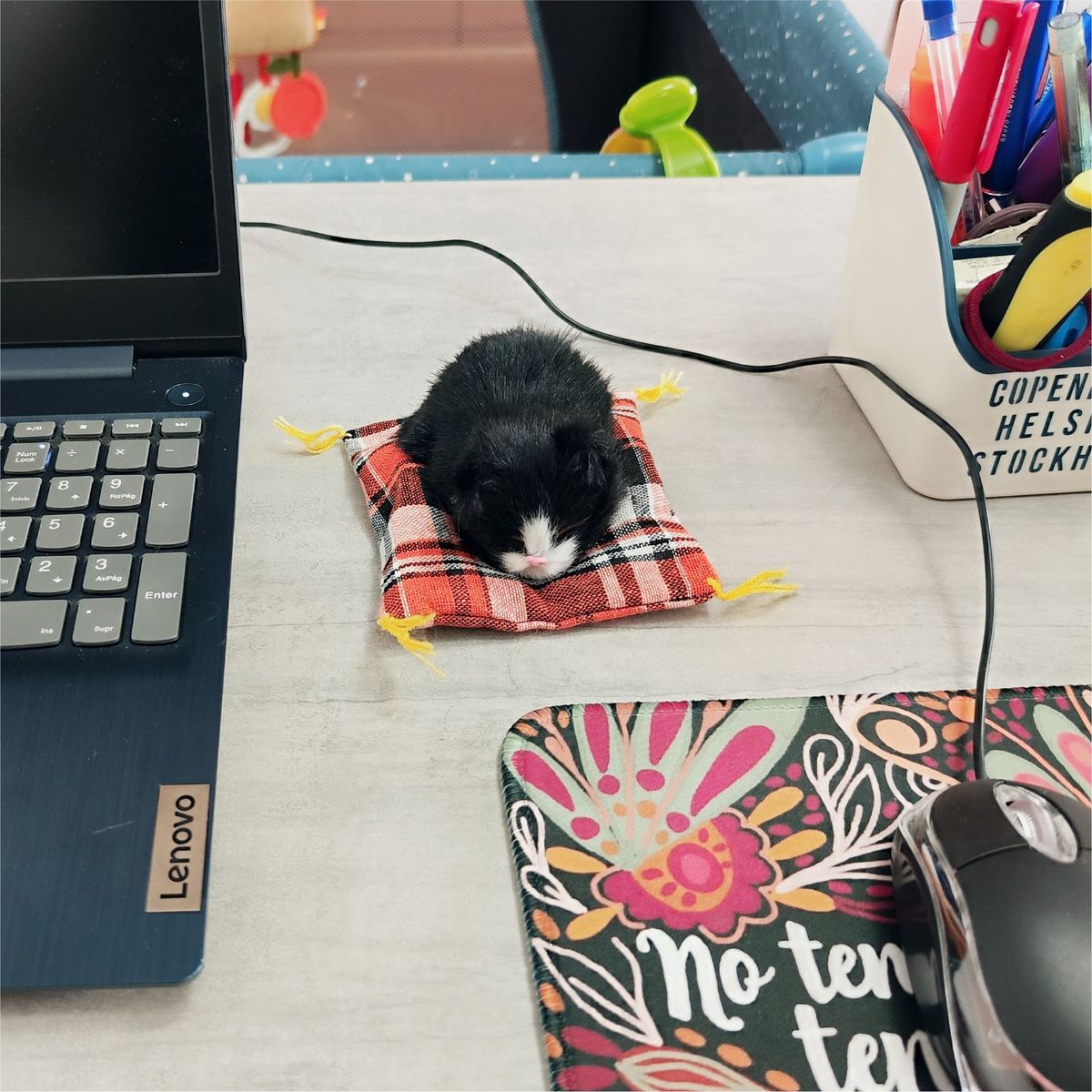 GENERICO - Adorno Gatito Durmiendo Artesanía Realista Decorativo - Negro