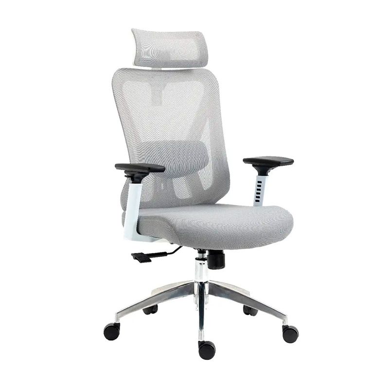 OFIDEAS - Silla de Oficina Reclinable Dolfín Presidente Gris Ofideas
