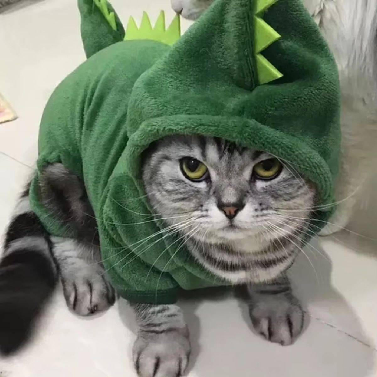 GENERICO - Ropa Disfraz De Dinosaurio Para Mascotas Halloween