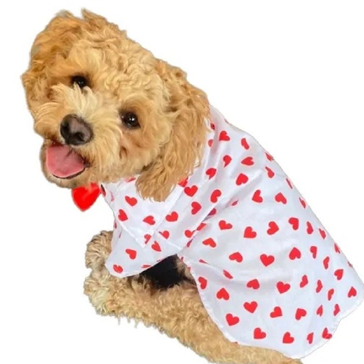 MARC - Ropa De Mascota Camisa Corazones Talla 4