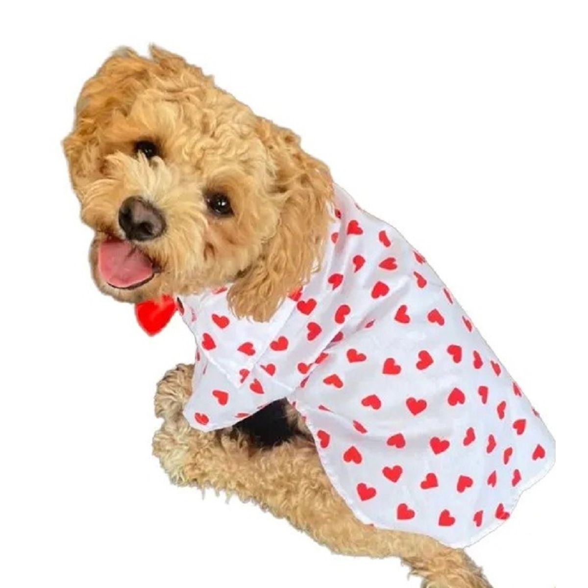 MARC - Ropa De Mascota Camisa Corazones Talla 4