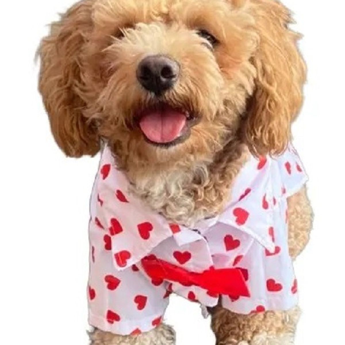 MARC - Ropa De Mascota Camisa Corazones Talla 4