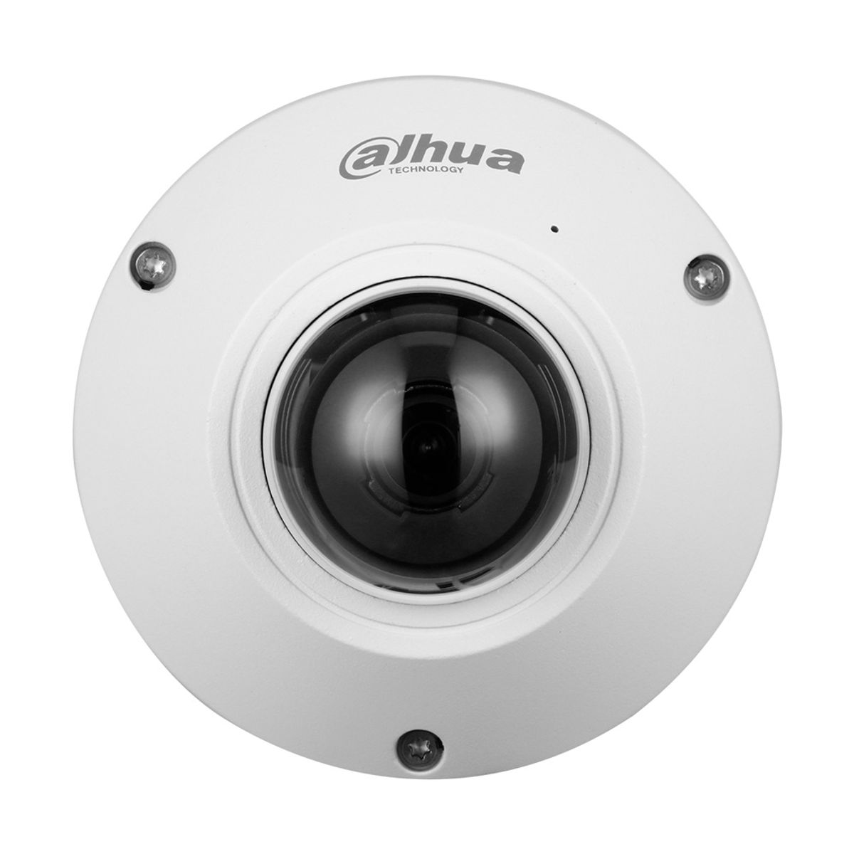DAHUA - Dahua IPC-EB5541-AS Camara de seguridad IP 5MP 360° Fisheye